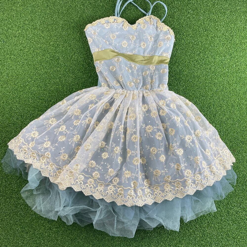 Vintage Curtain Call Girls Light Blue Embroidered Tulle Costumes Tutu Dress 8C